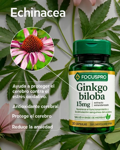 🧠✨ FOCUS PRO – Para Quien Quiere Mantener la Mente Activa y la Memoria Fuerte